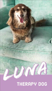 Luna - Pet Therapy Dog